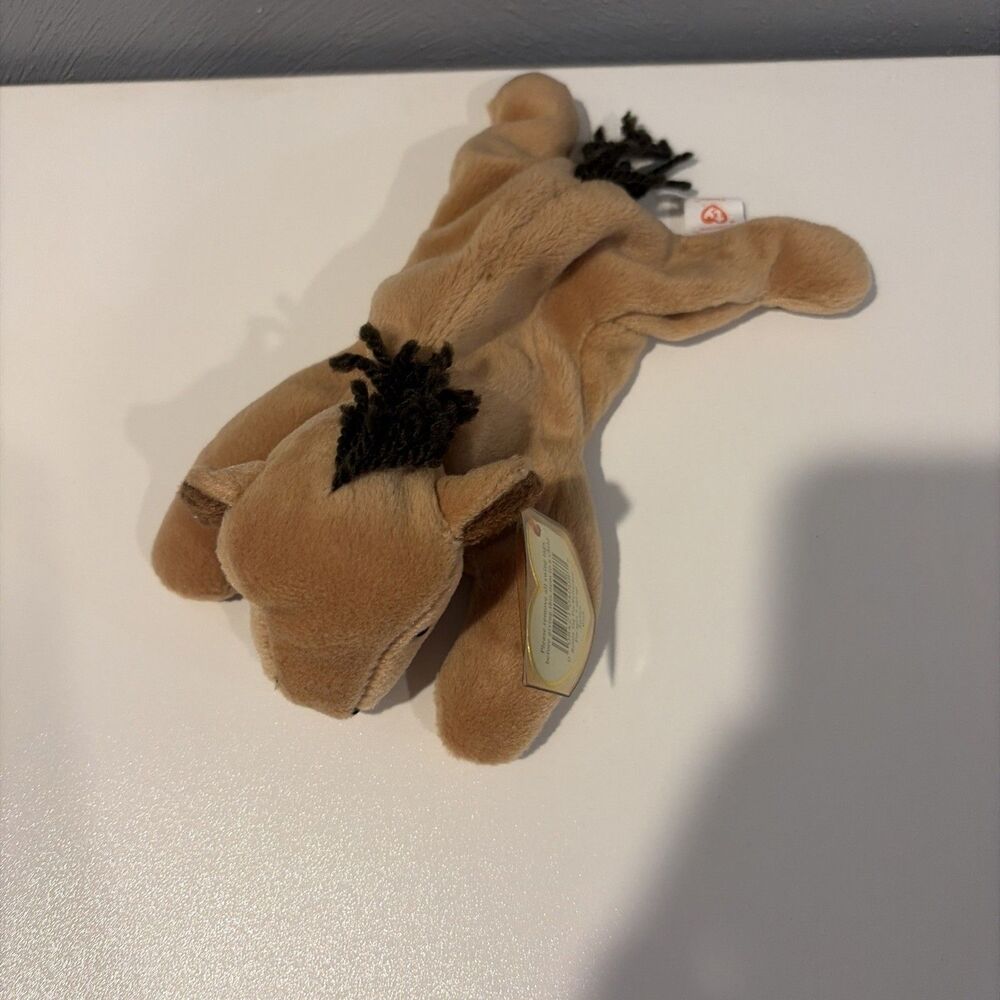 Ty Beanie Baby Derby